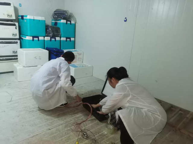 黄色网站