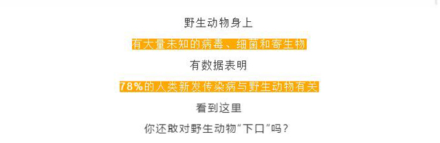 黄色网站