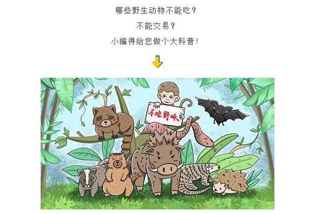 黄色网站