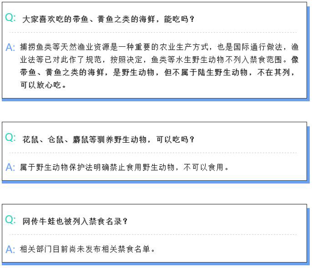 黄色网站