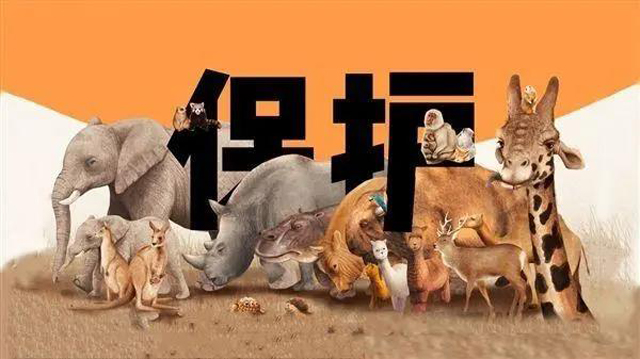 黄色网站
