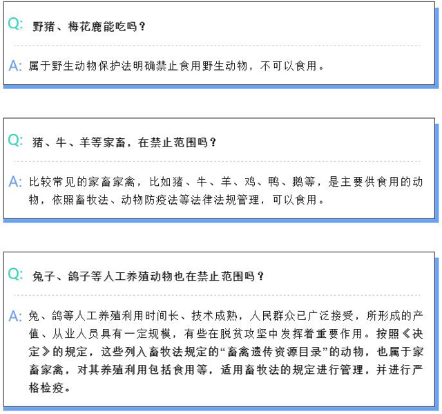 黄色网站