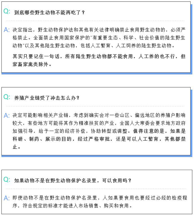 黄色网站