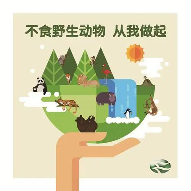 黄色网站