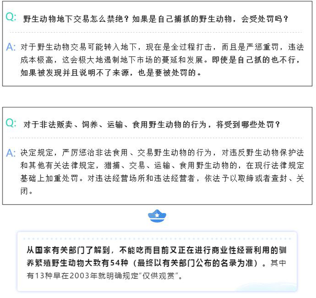 黄色网站
