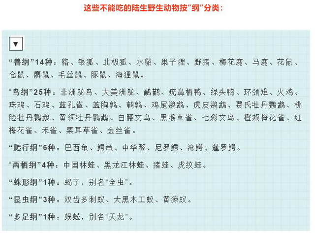 黄色网站