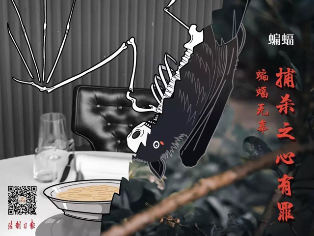 黄色网站