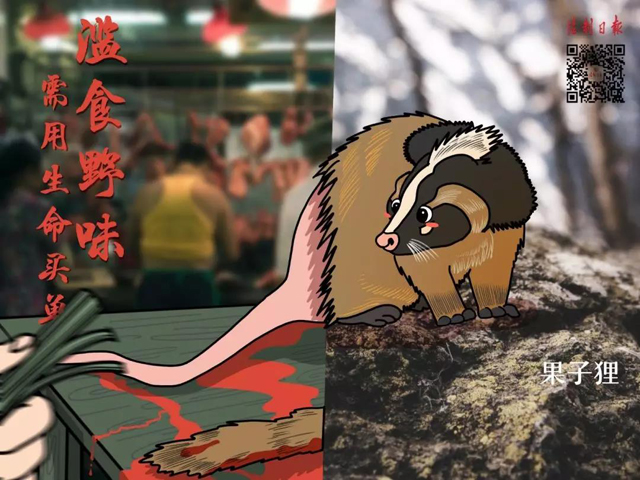 黄色网站