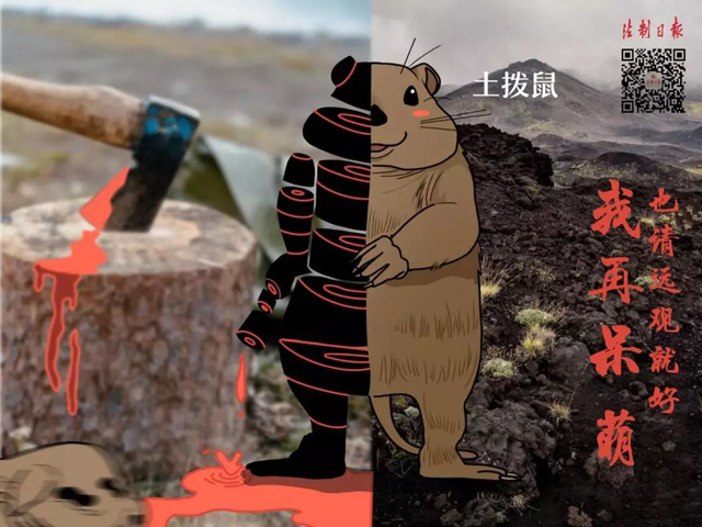 黄色网站