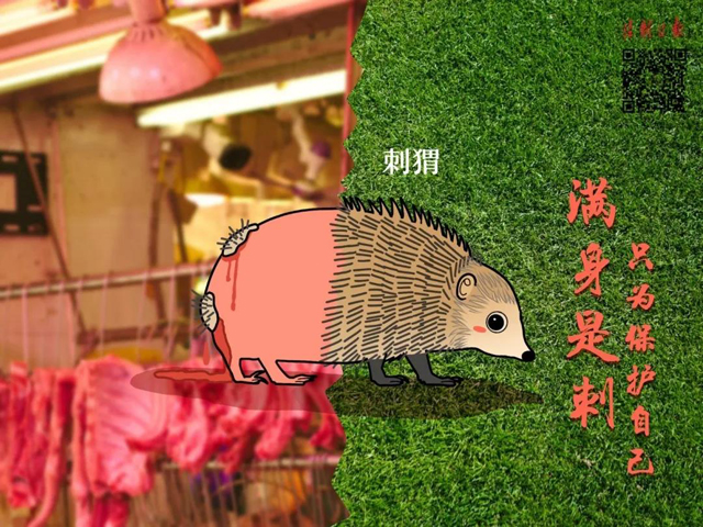 黄色网站