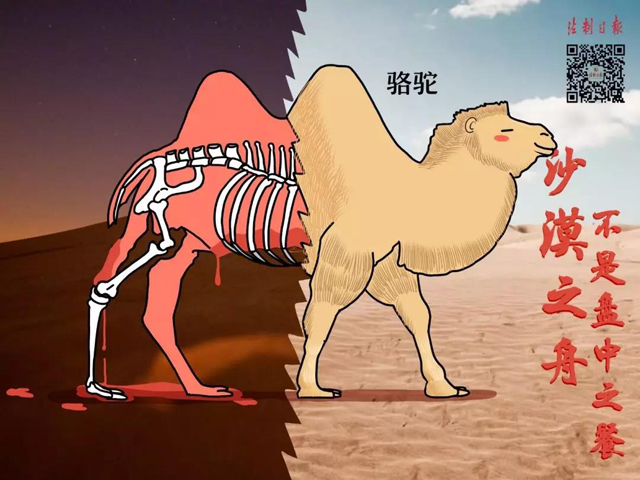 黄色网站