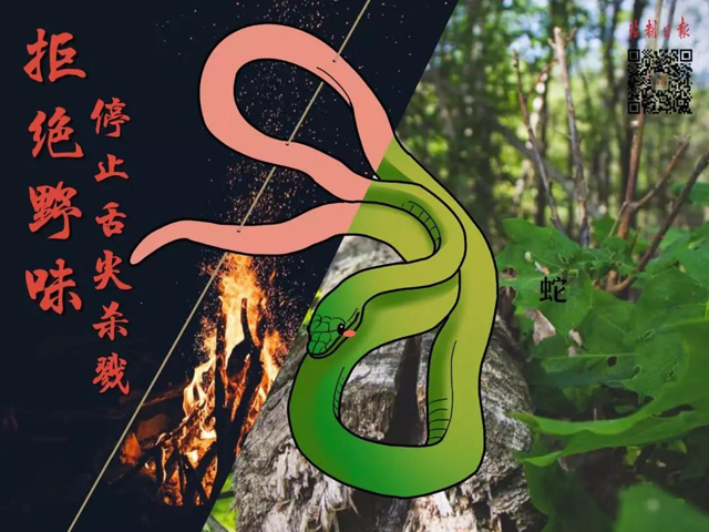 黄色网站