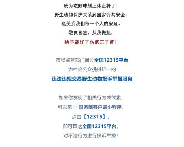 黄色网站