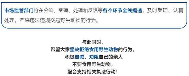 黄色网站