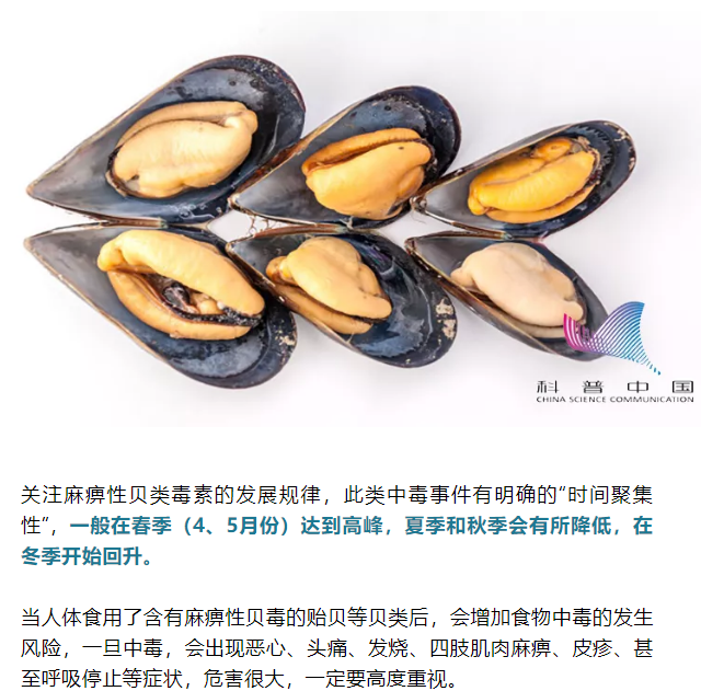 黄色网站
