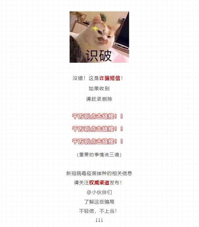 黄色网站
