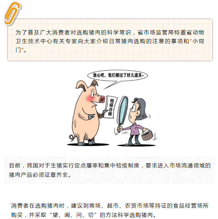 黄色网站