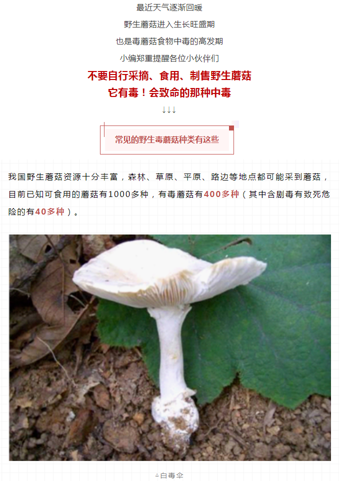 黄色网站