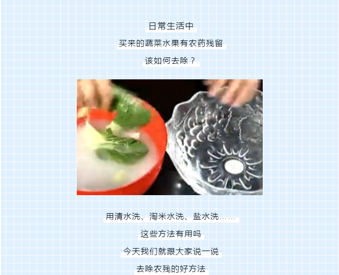 黄色网站