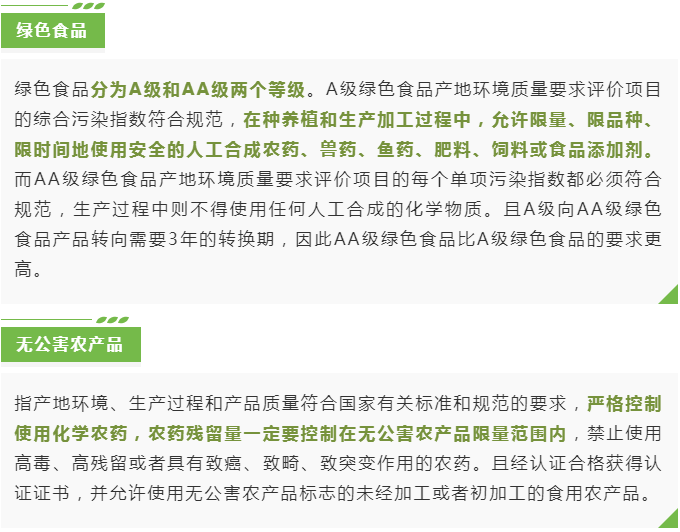 黄色网站
