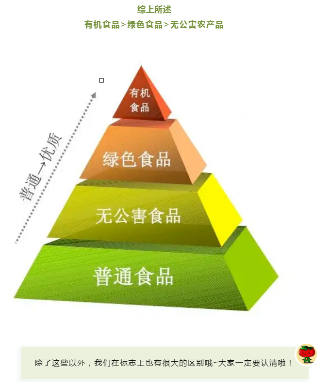 黄色网站