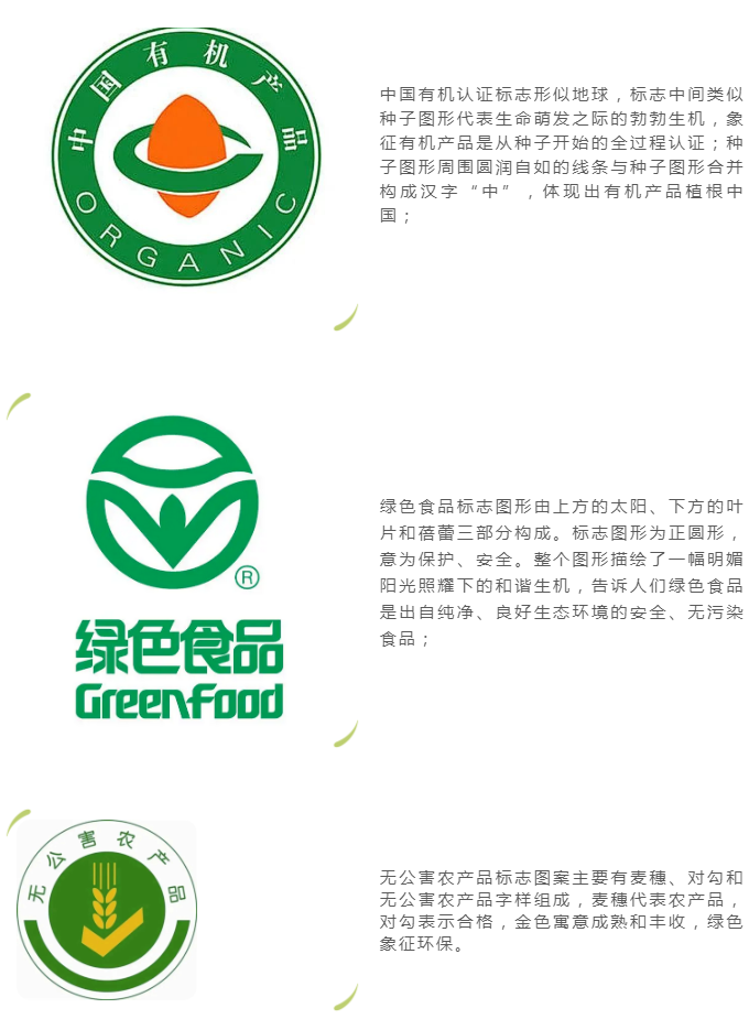 黄色网站