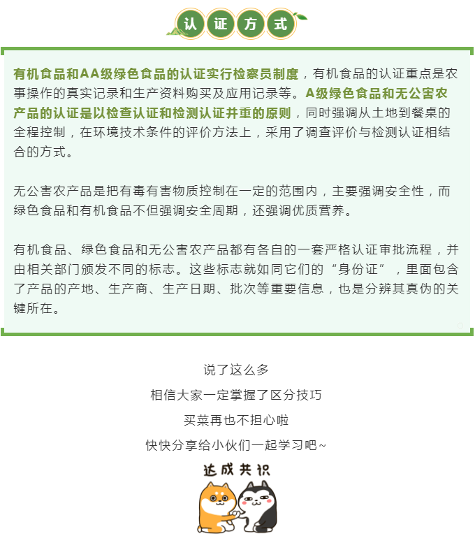 黄色网站