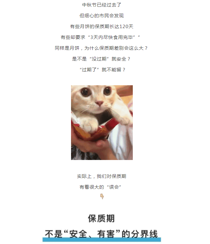 黄色网站