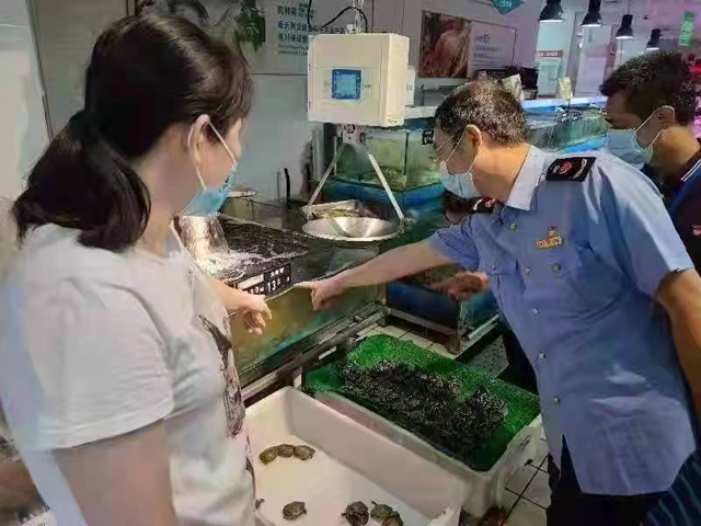 黄色网站