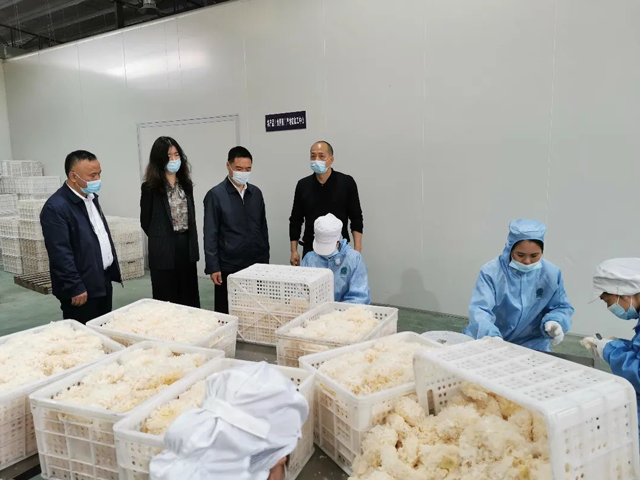 黄色网站