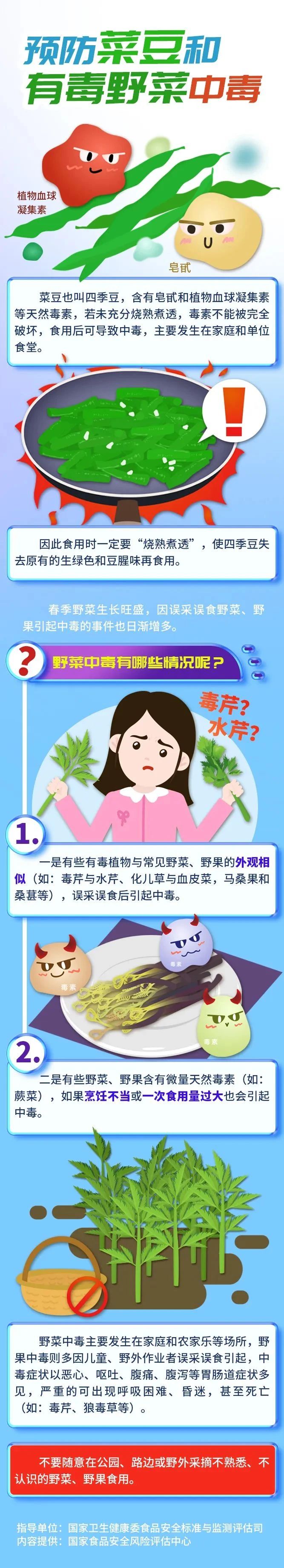 黄色网站