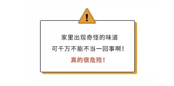 黄色网站