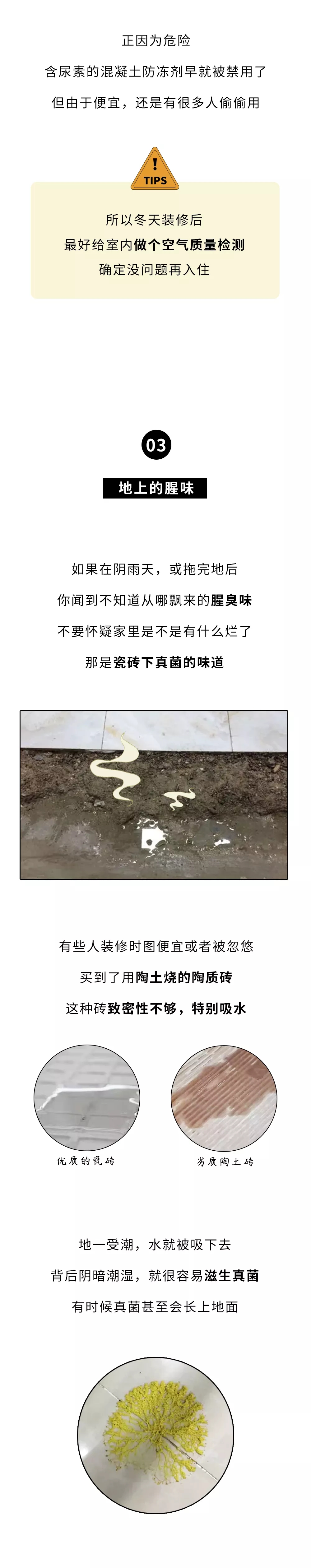 黄色网站