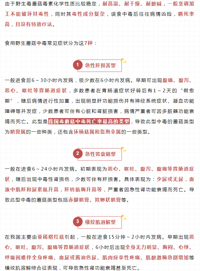 黄色网站