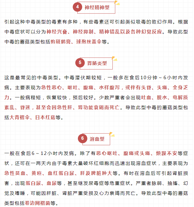 黄色网站