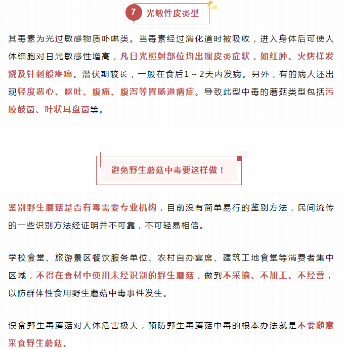 黄色网站