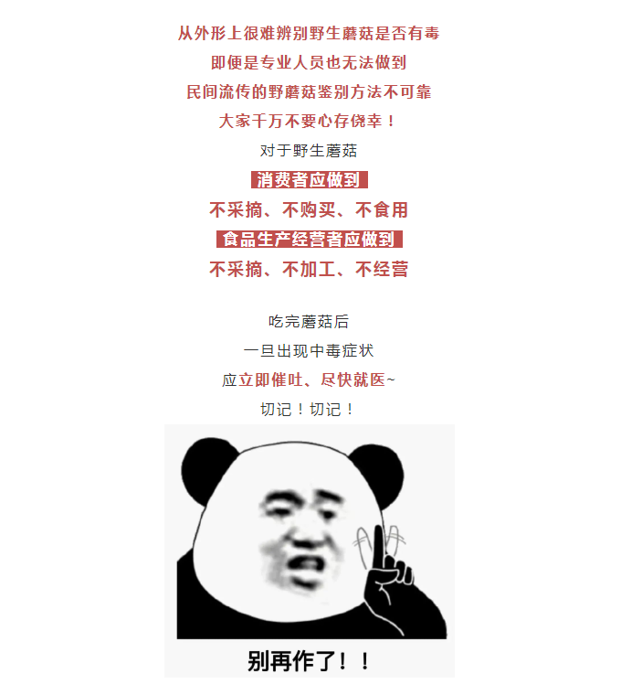 黄色网站