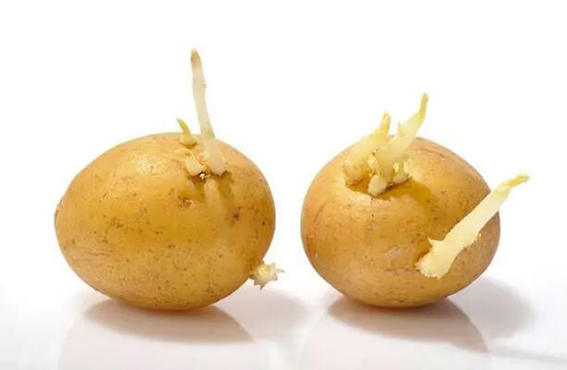 黄色网站
