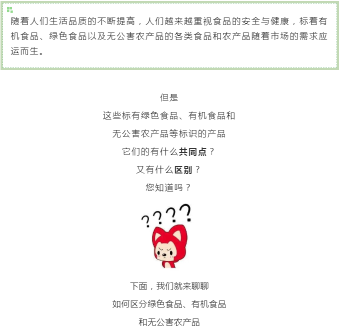 黄色网站