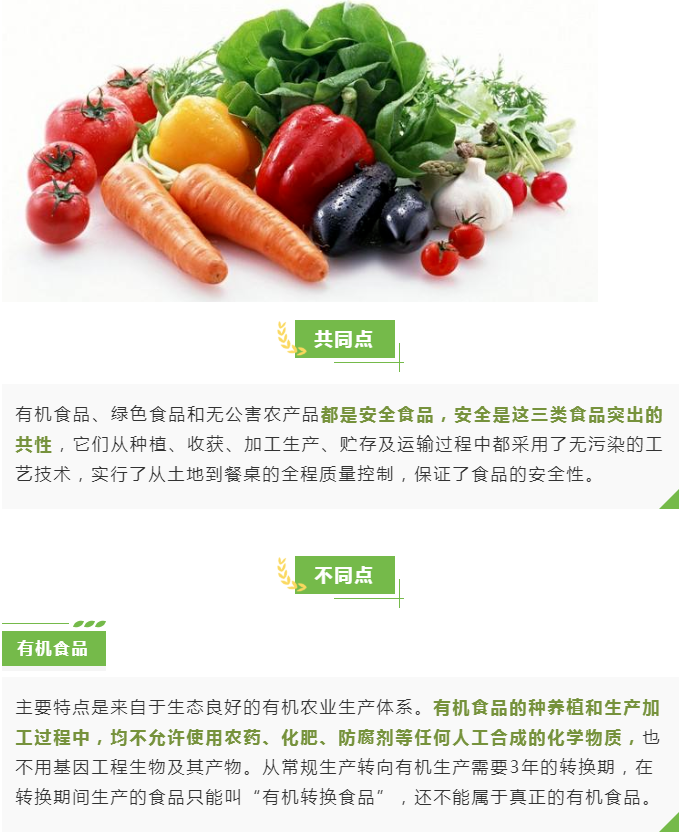 黄色网站