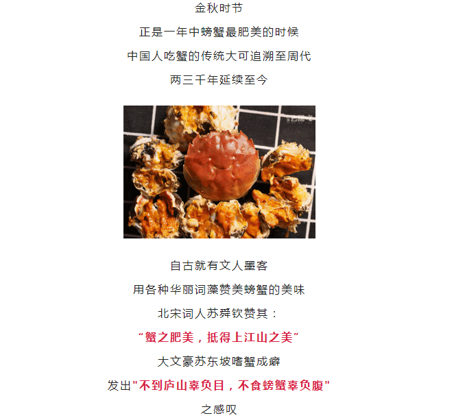 黄色网站