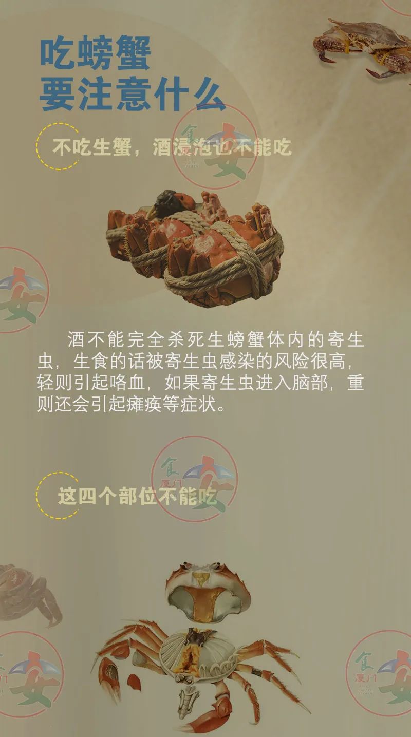 黄色网站