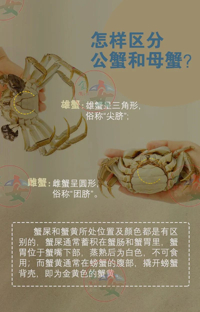 黄色网站