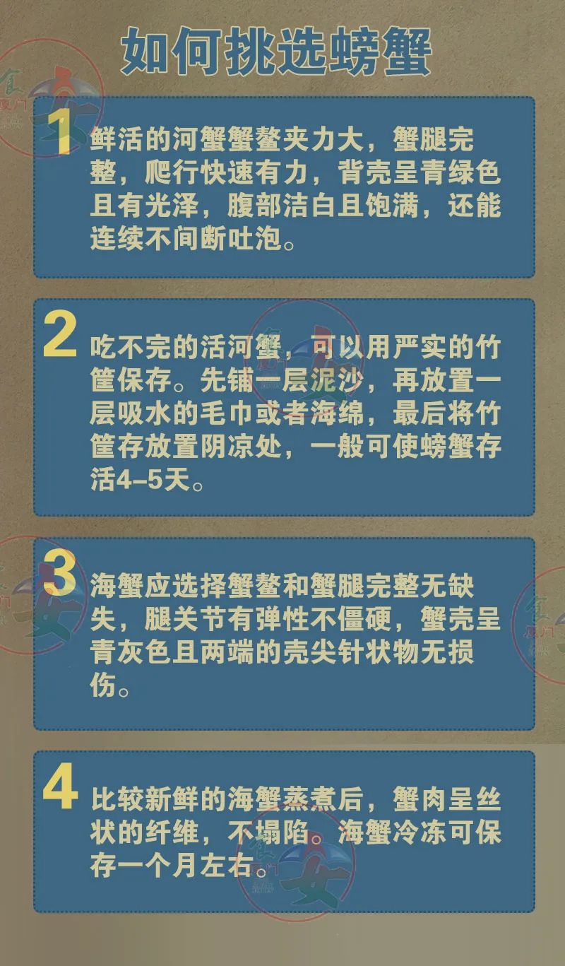 黄色网站