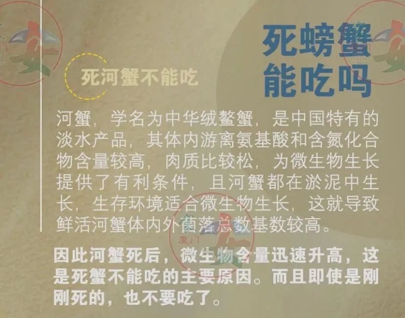 黄色网站