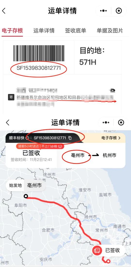 黄色网站